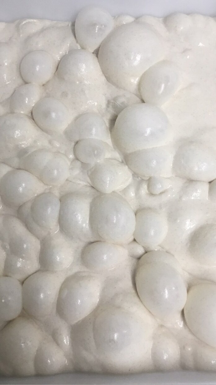 あなたのハード系パンをよりおいしくします ビデオチャットでのやりとりであなたのパン作りの悩みを完全解決 イメージ6