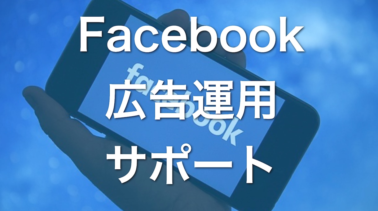 Meta／Facebook広告のアドバイスします 【広告運用を教えるプロ】累計380人以上へのアドバイス実績 イメージ1