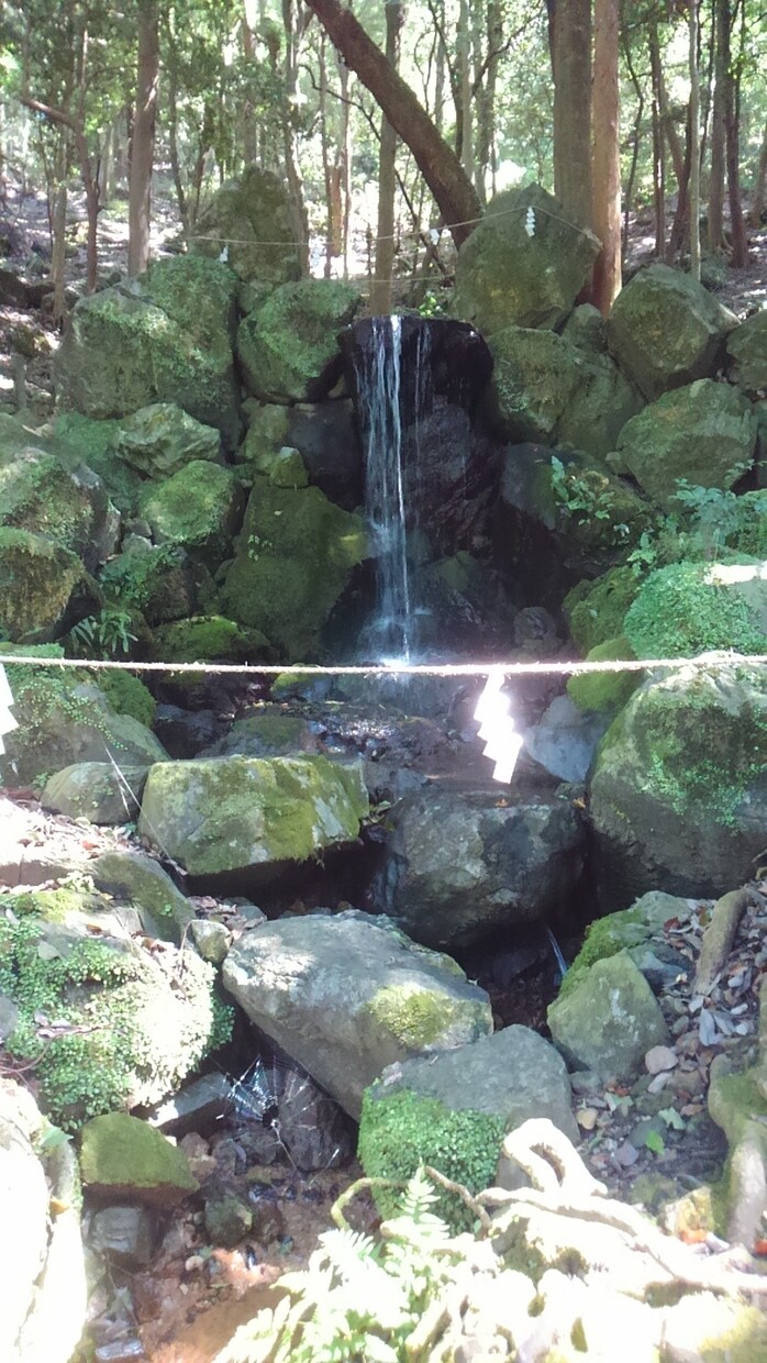 霊感タロットで、あなたの願いを叶えます 霊感・霊視・祈祷であなたの願いを叶えます♪♪ イメージ1