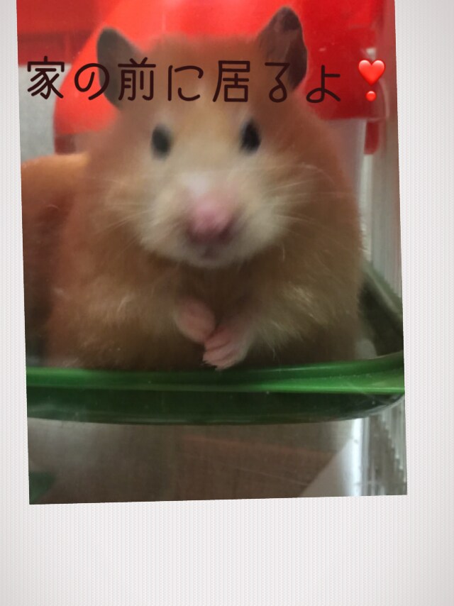 画像加工します 画像加工のやり方が分からない！そんなあなたへ イメージ2