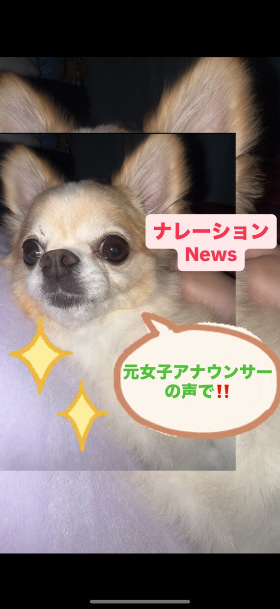 ナレーション、朗読をします 元女子アナの声で！！！！！！！！！！！！ イメージ1