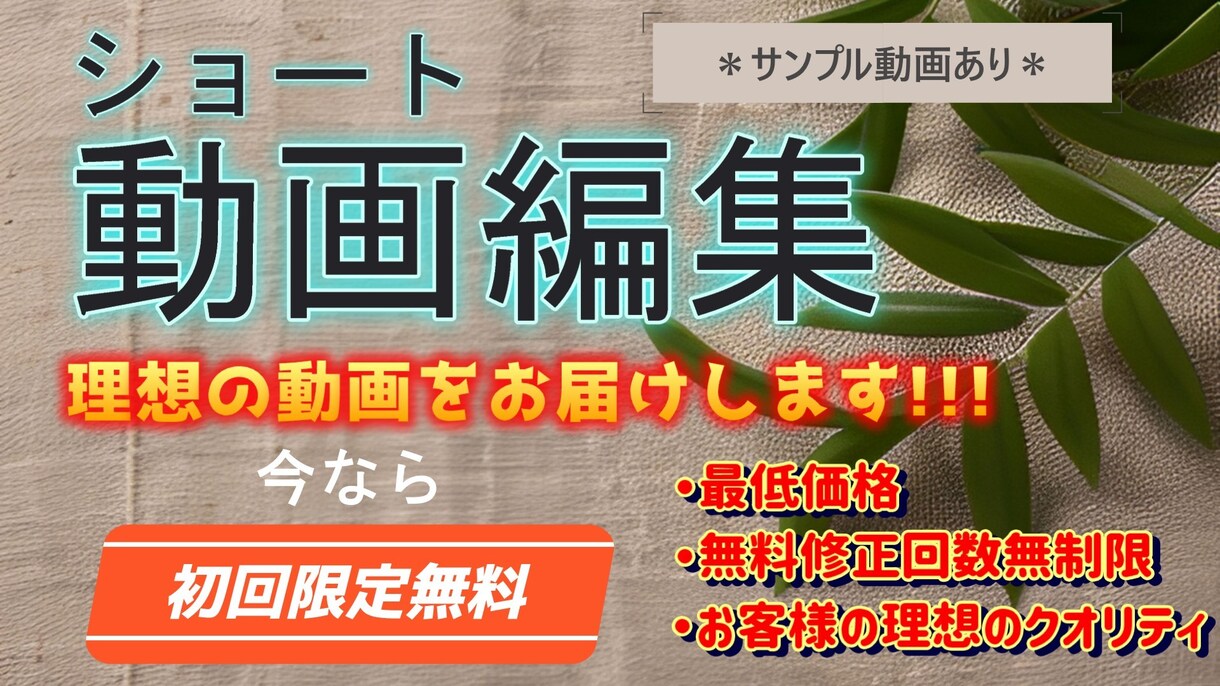 どんなショート動画も作成します 30秒〜3分程度のショート動画を作成します！ イメージ1