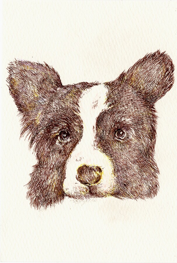 大切なペット(様々な動物)を手描きでお描きします 贈り物に、記念日に。写真とは違ったあたたかみのあるイラストを イメージ2