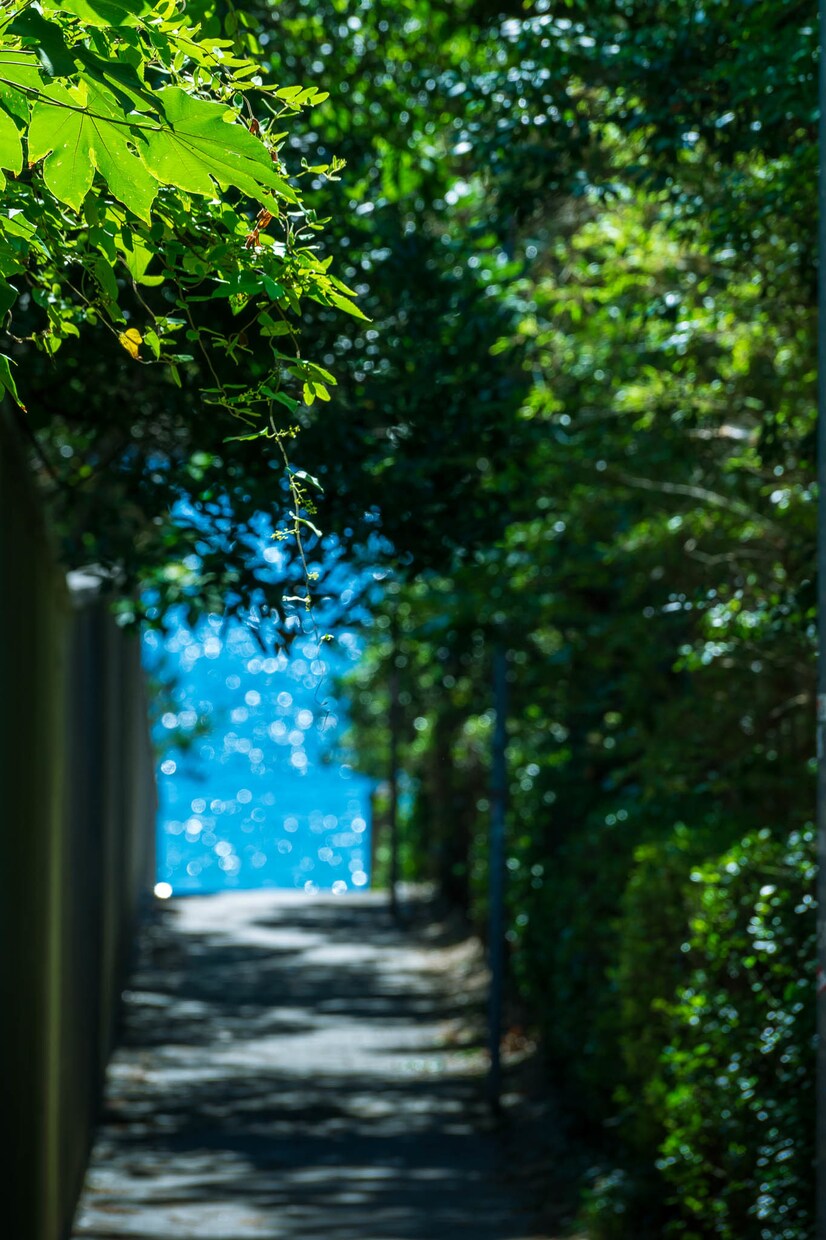 感情に訴え、読者をファン化する記事を執筆します 【プロ写真家】写真の力とプロのライティングで刺さる記事 イメージ3