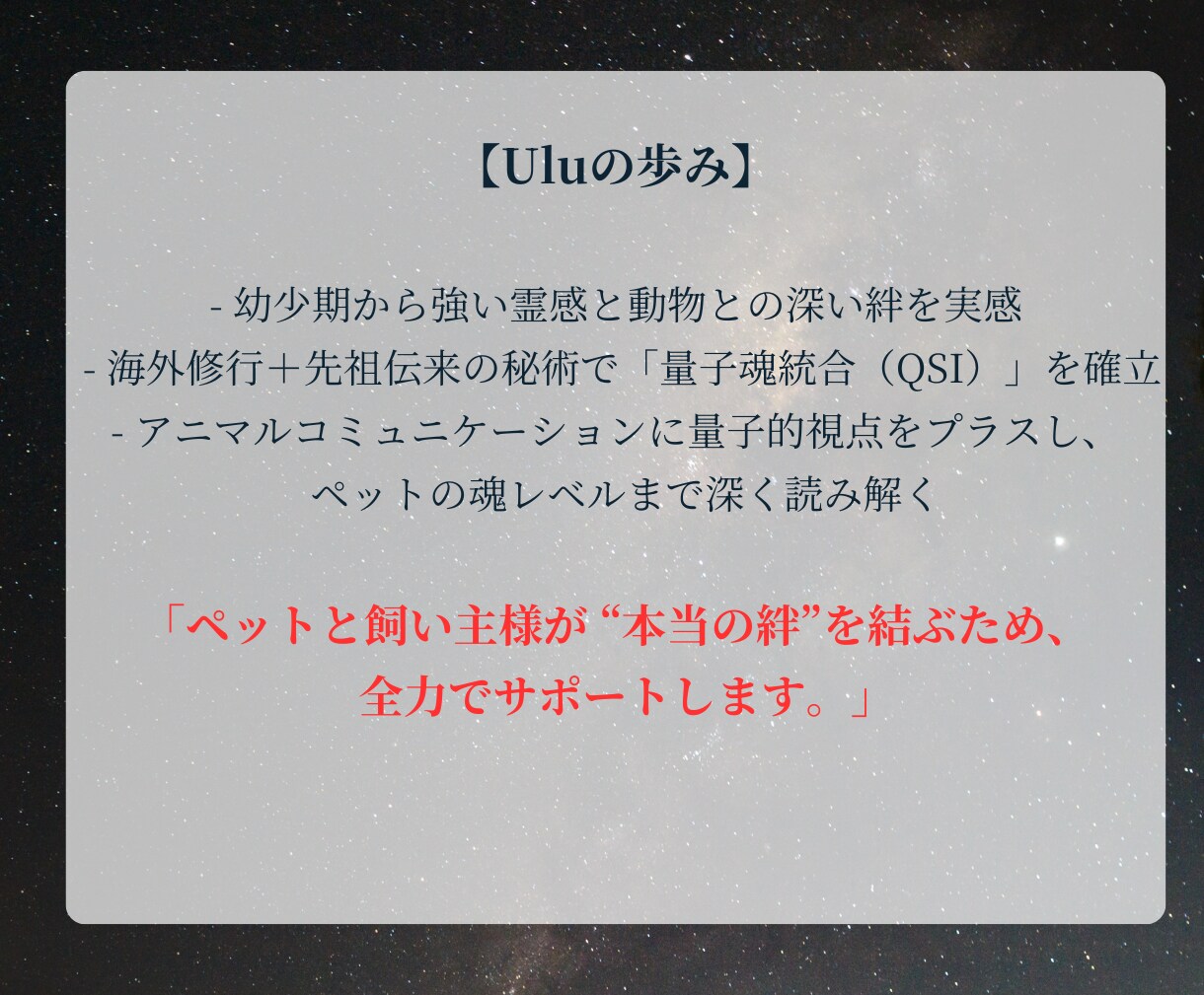 アニマルコミュニケーション｜魂と対話します 亡くなった子も可能。過去世や相性、エネルギー解析もできます イメージ3