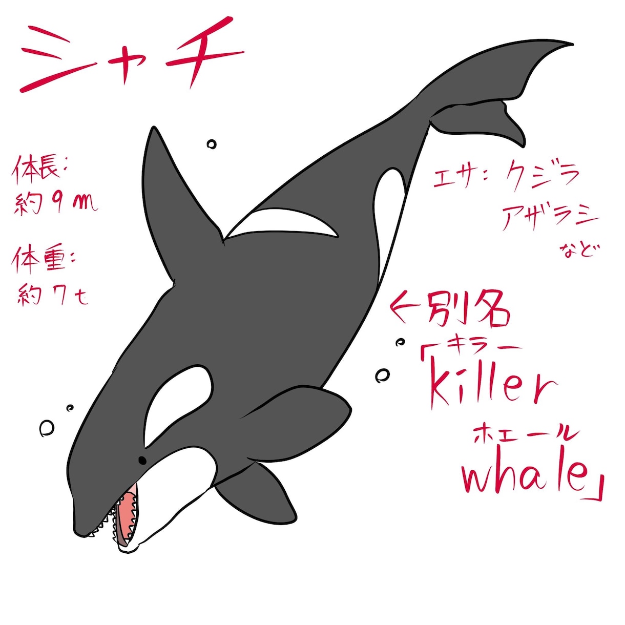 SNSのアイコンをお描きします オリジナリティのあるアイコンが欲しい方にオススメです！ イメージ2