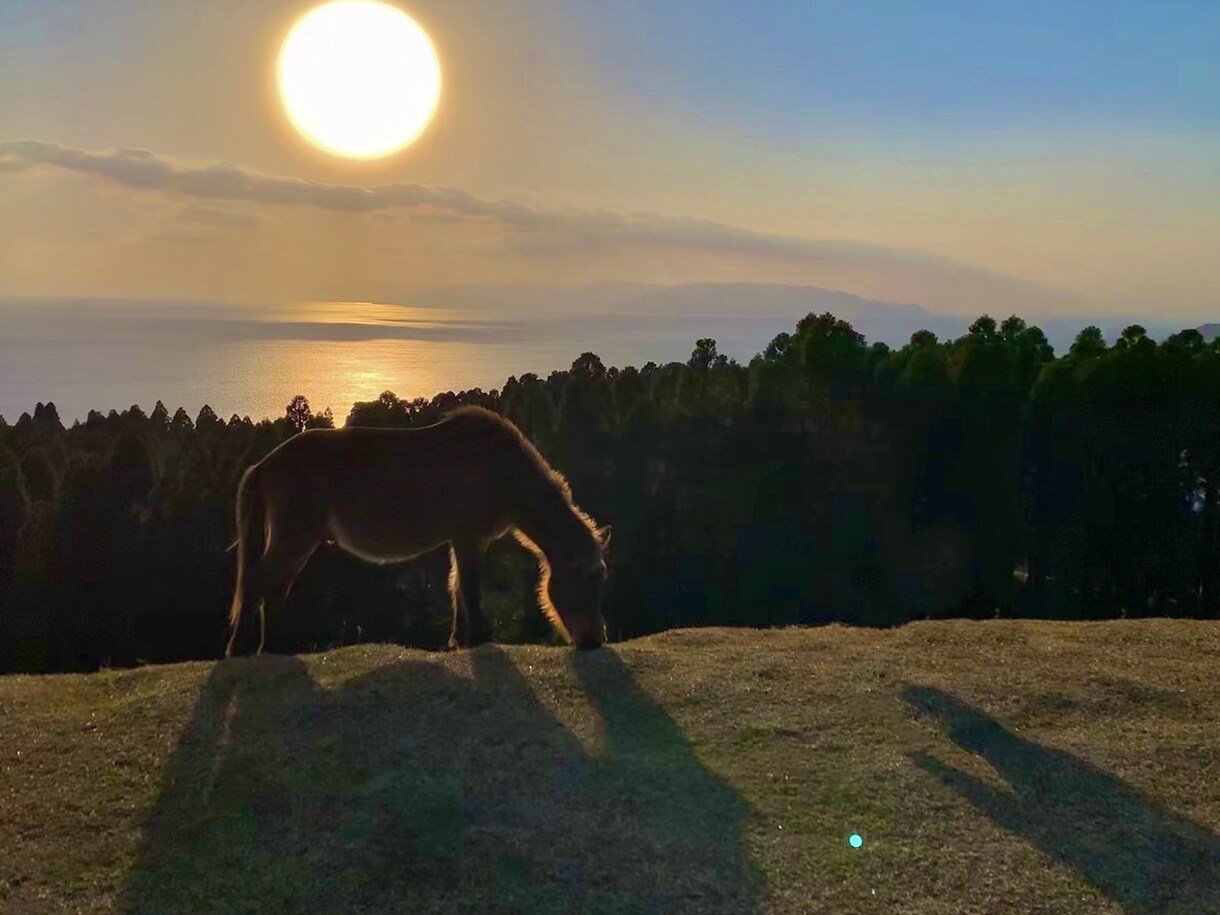 顔から背景までインスタ映えする写真に編集します 顔加工から背景加工、インスタ映えな写真に拘って仕上げます！ イメージ2