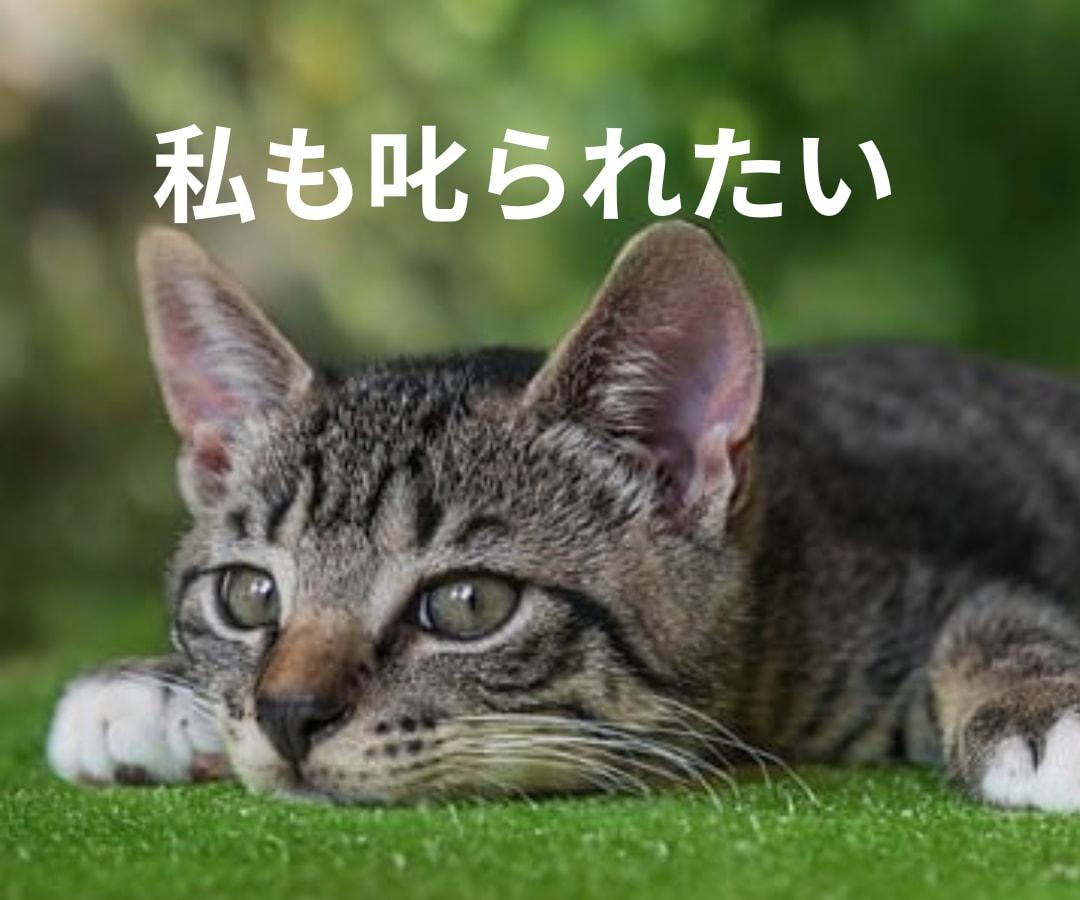 男女OK✨あなたの未来のために❗️あなたを叱ります 叱られたい人♡集まれ✨豊富な人生経験で愛をもって叱ります❗️ イメージ7
