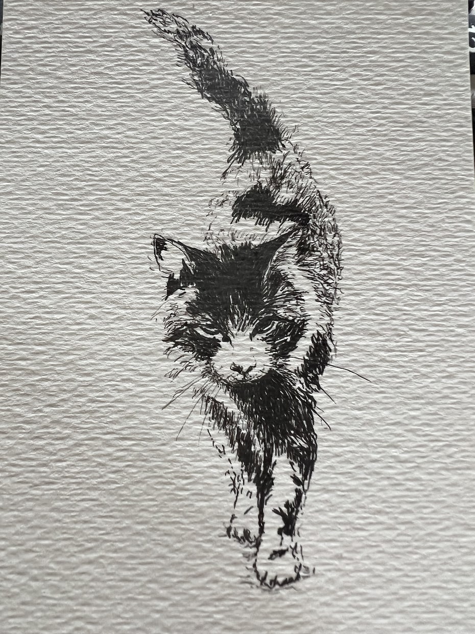 犬や猫の絵を描きます 画像からえんぴつや顔彩で絵を描きます。 イメージ4