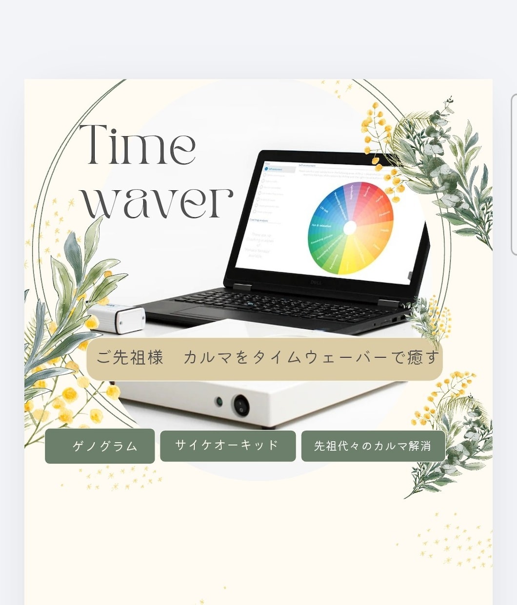 タイムウェーバー初回先祖カルマセット分析します 先祖代々続くカルマ因縁を紐解く イメージ1