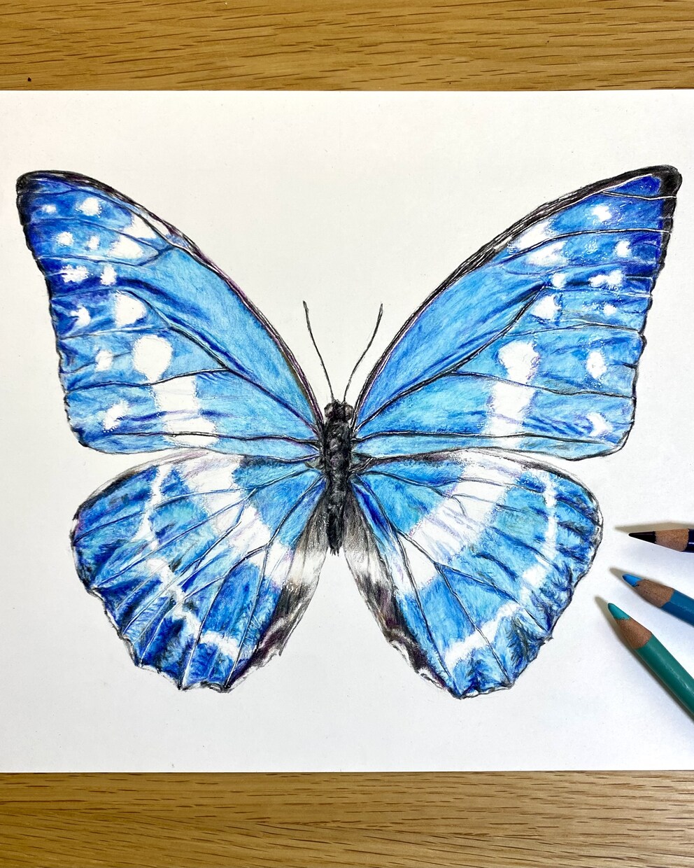 部屋に飾りたくなるような動物画を描きます ペットの似顔絵やあらゆる生き物の絵の作成依頼を承ります。 イメージ5