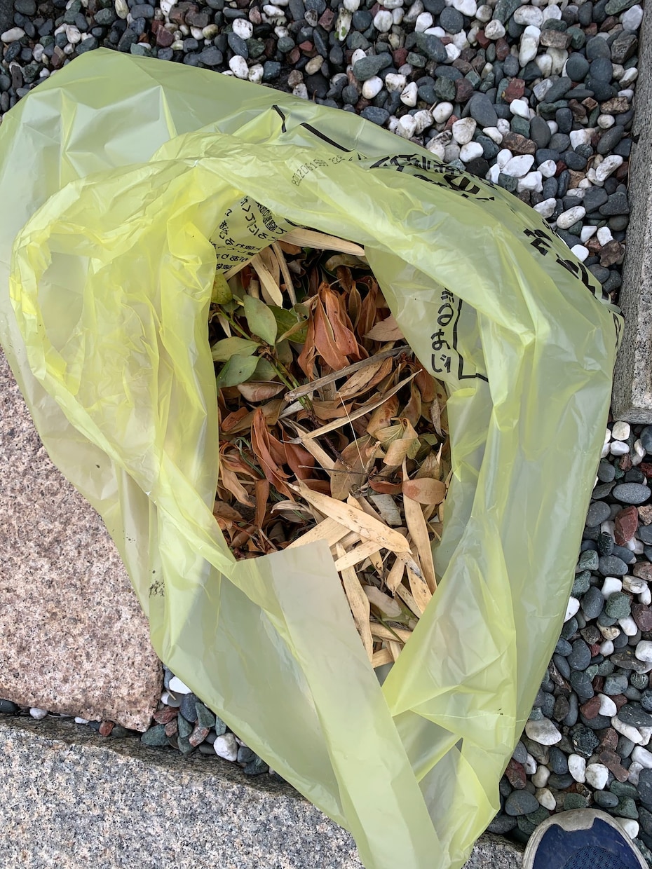 １０年間コツコツとお墓掃除させていだだいてます お遍路の通訳案内士です。各寺院参拝時施主様ご先祖供養してます イメージ5
