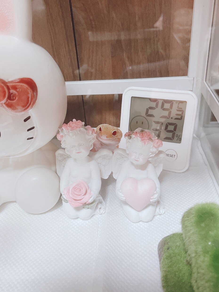 占います 自信もって皆様が幸せになりますように イメージ5