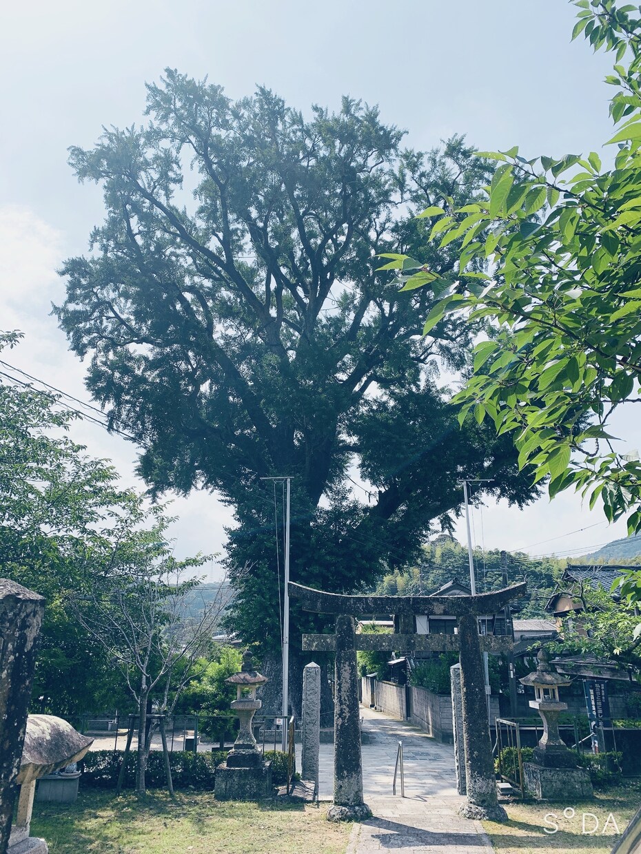 仕事の事でお悩みの方、お待ちしてます 仕事での人間関係、転職などでお悩みの方 イメージ1