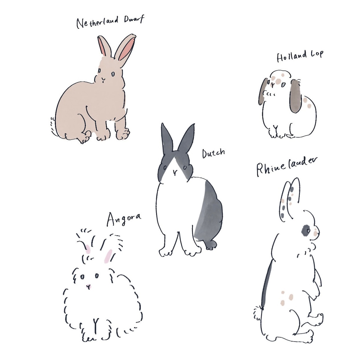 ペット、動物のイラスト描きます ゆるふわ系可愛く水彩画風タッチで！ イメージ2