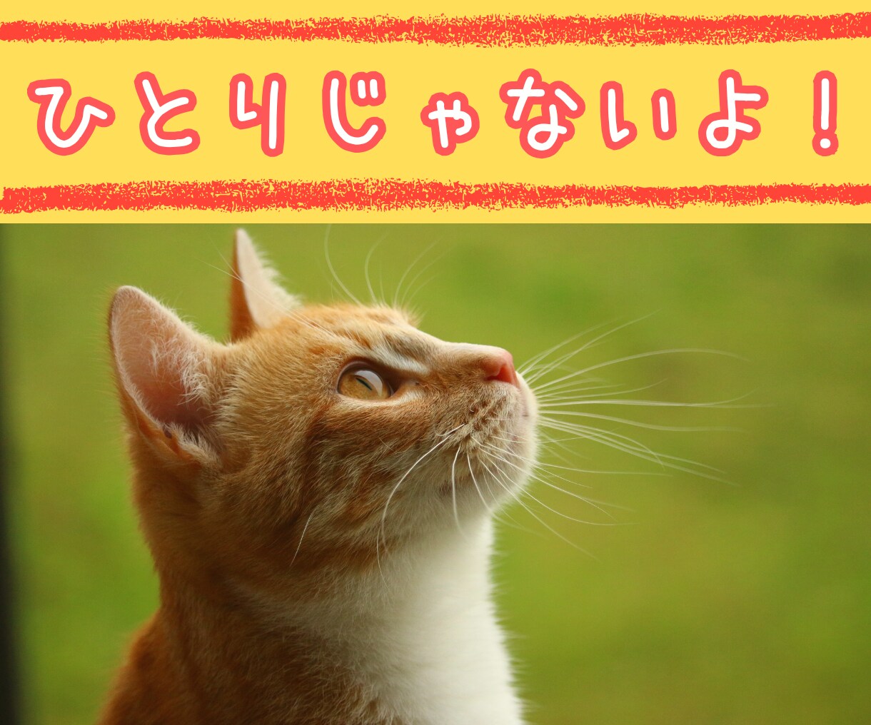 ひとりじゃない。押しつぶされそうな気持ち聞きます 悲しい、辛い、気持ちあふれるまま…ただ、話をしませんか？ イメージ3