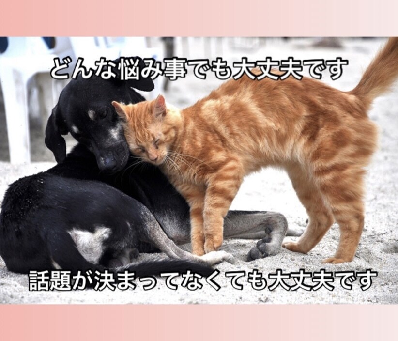 どんな話でも1分〜でもOK！お話聞きます お友達感覚でご気軽にどうぞ　なかなか人に話せない悩みなど イメージ7