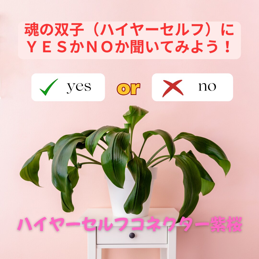 チャネリングでご質問にYES/NOで答えます 不安やお悩み、相手の気持ち、ズバっとお答えして導きます。 イメージ1