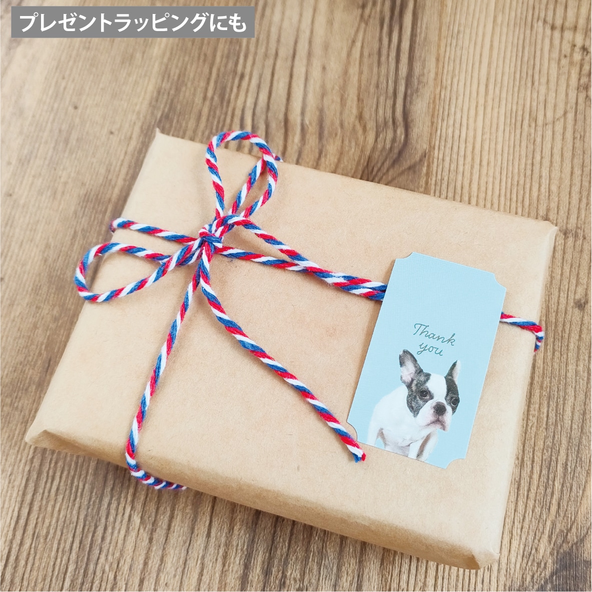 ペット写真でセミオーダー耐水シール50枚つくります 歴15年デザイナーの高品質シール♪背景10色から選べて送料込 イメージ2