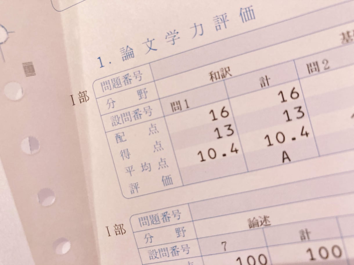 看護系｜就職・受験｜論文作文書き方指導・添削します 入職・入学試験対策｜看護師・保健師・公務員（看護）・看護学生 イメージ2