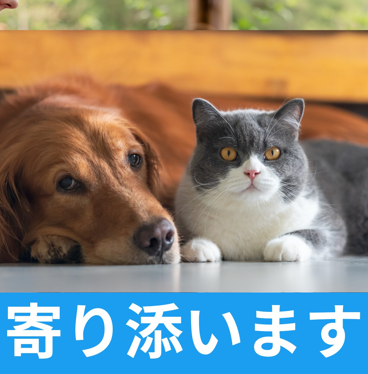 悩みを抱えるあなたのその心にそっと寄り添います 愚痴や悩みは心にとどめておかず、吐き出して前へ進みましょう！ イメージ2