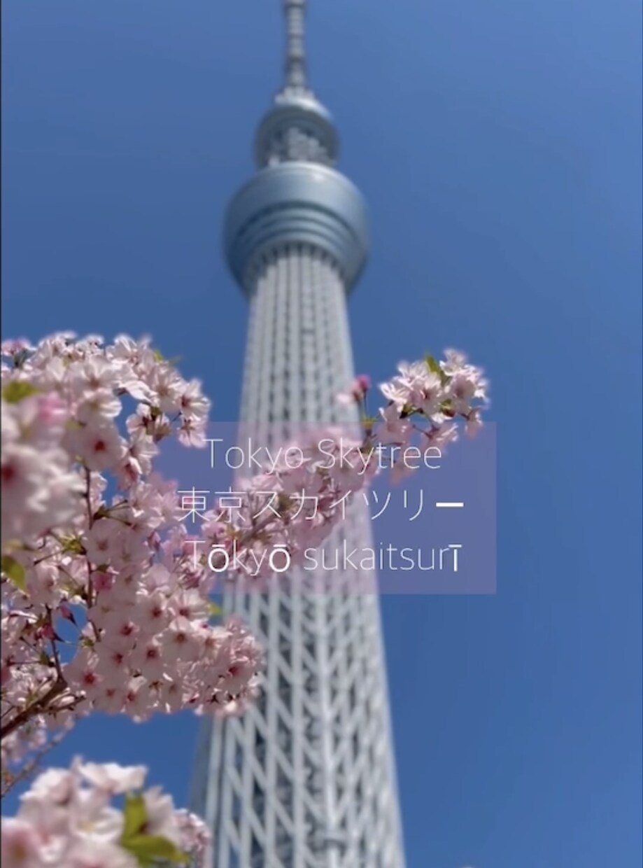 リール、ショート動画編集承ります あなたのいつもの動画投稿のお手伝いができたら嬉しいです。 イメージ4