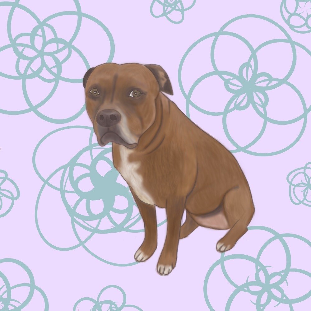 ワンちゃん、猫ちゃんの似顔絵描きます リアルな感じの犬、猫ちゃんの似顔絵を描かせていただきます！ イメージ6