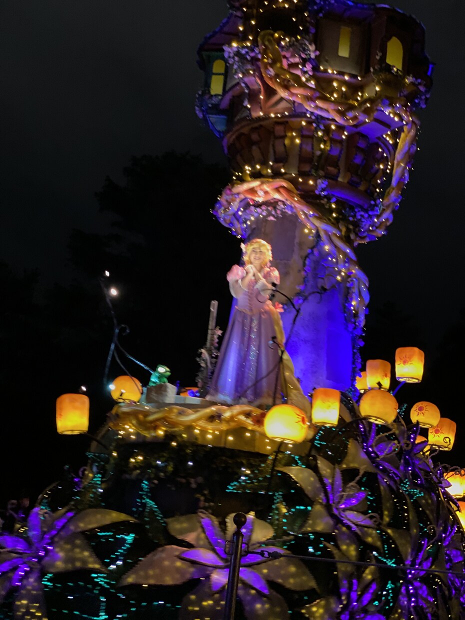 ディズニー案内人★パーク内の過ごし方提案します 初めての子連れディズニー攻略法伝授します^ ^ イメージ3
