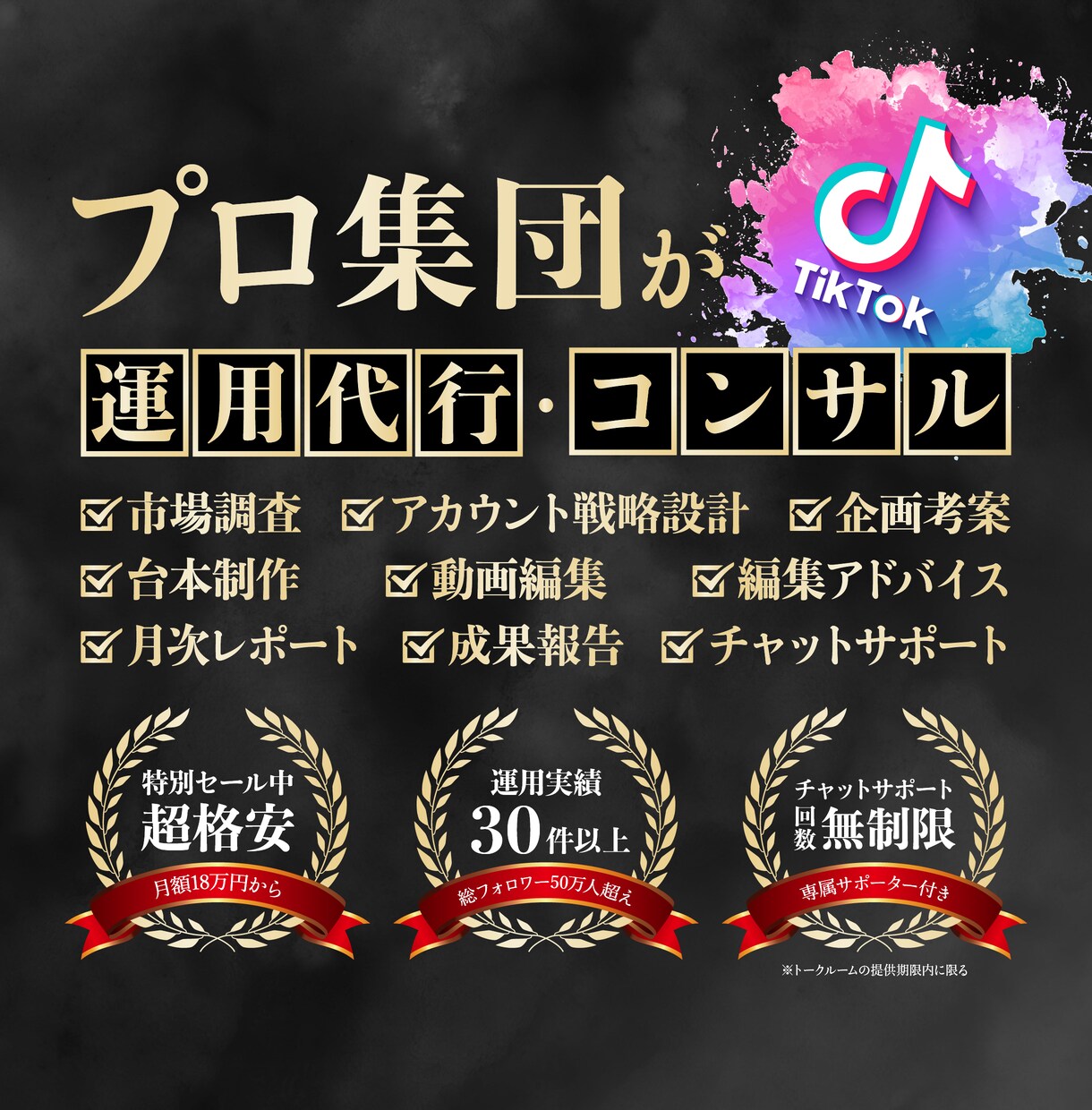 プロ集団がTikTokの運用代行･コンサルをします 【赤字特価】運用実績豊富なSNS運用のプロにお任せください！ イメージ1
