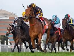 元騎手がリバウンドしないダイエットをサポートします 約20年間競馬界で培った食べて痩せるダイエットでサポート イメージ2