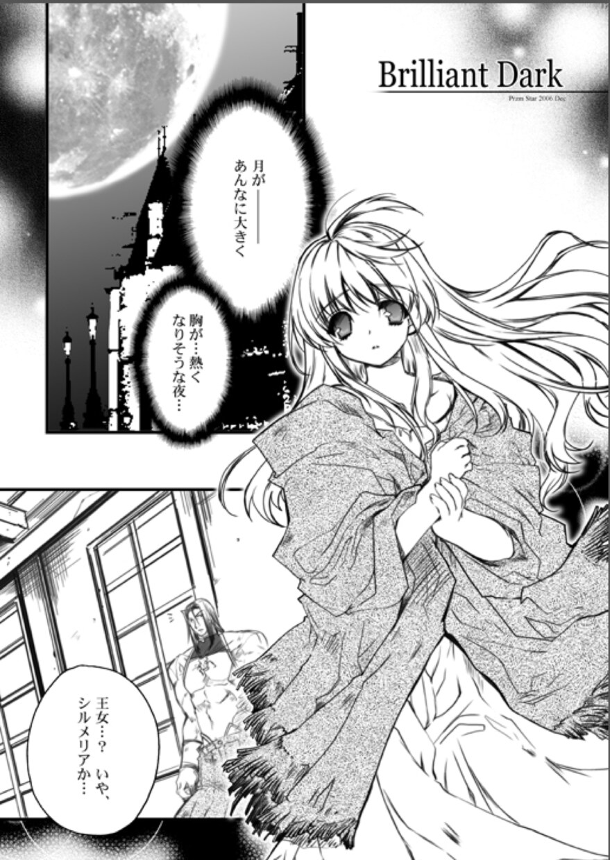 プロ仕様印刷用イラスト（モノクロ） 描きます プロ、商業案件仕様 印刷利用可能！マニア対応可能！ イメージ3