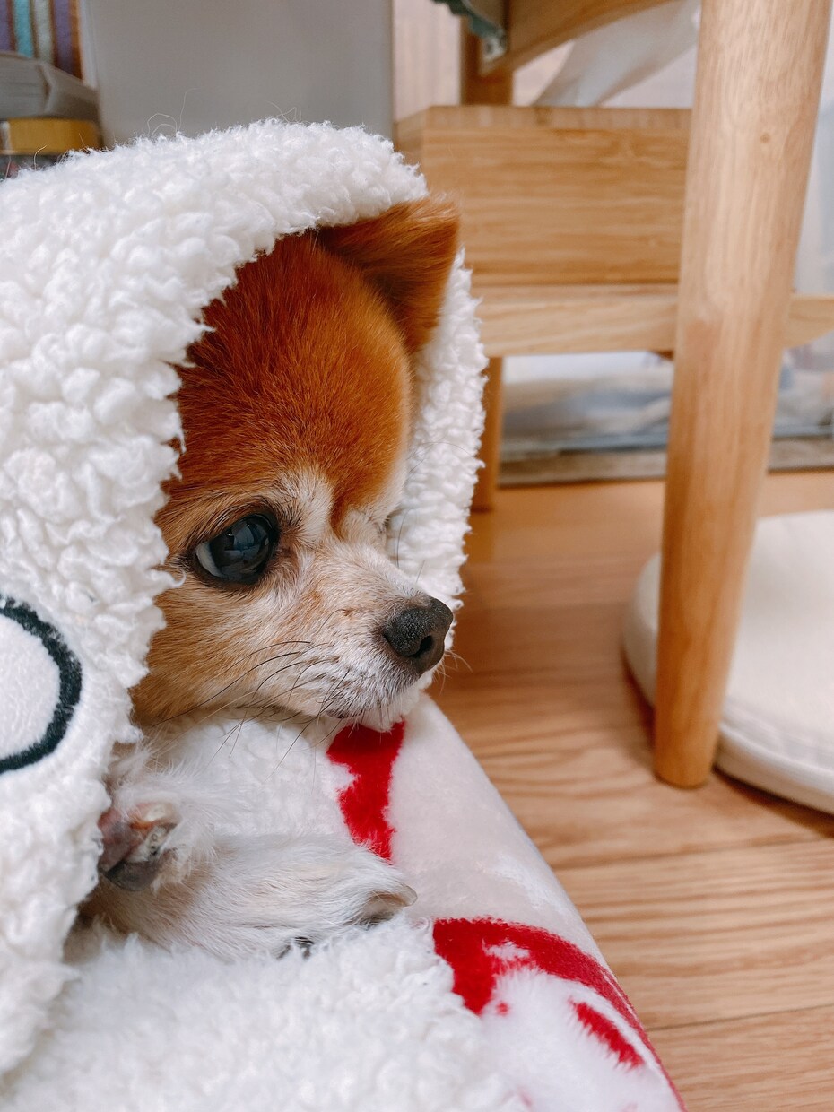 言えないこと、聞きます 身近な人には言えないけど話したいことありませんか？ イメージ1