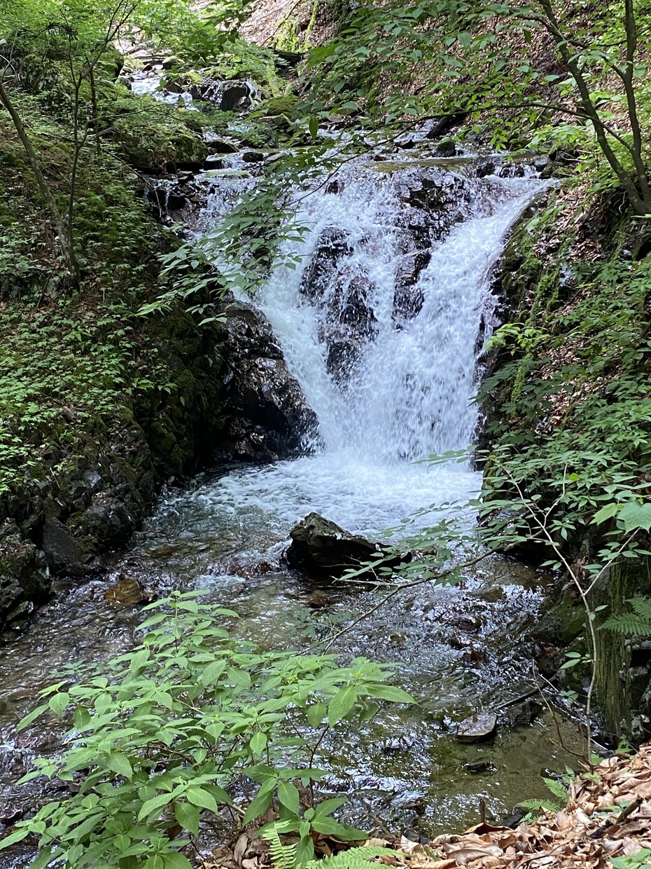 あなたの心にたまってきたモヤモヤ聞きます 恋愛、結婚、離婚、子育て、多数の職場経験あります イメージ5