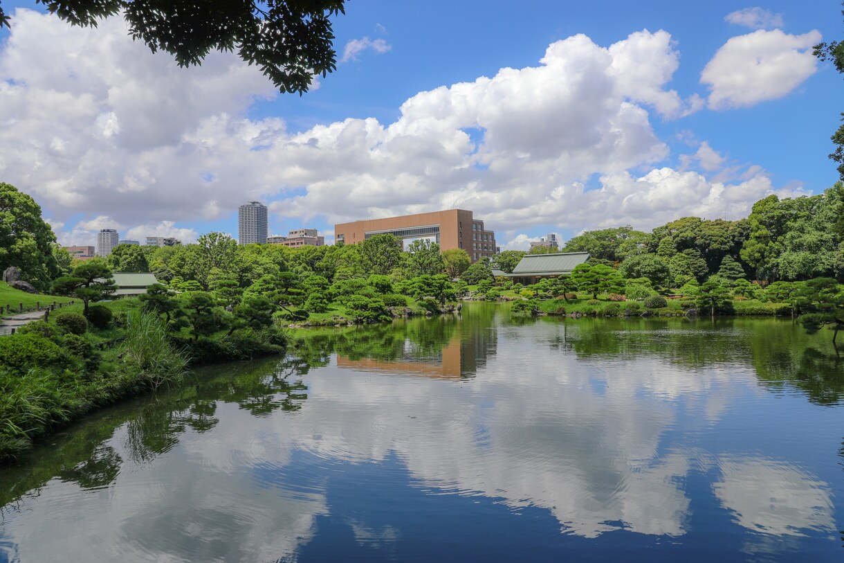 自然の写真を撮ります 癒される自然の写真を撮ります。提供します。 イメージ3