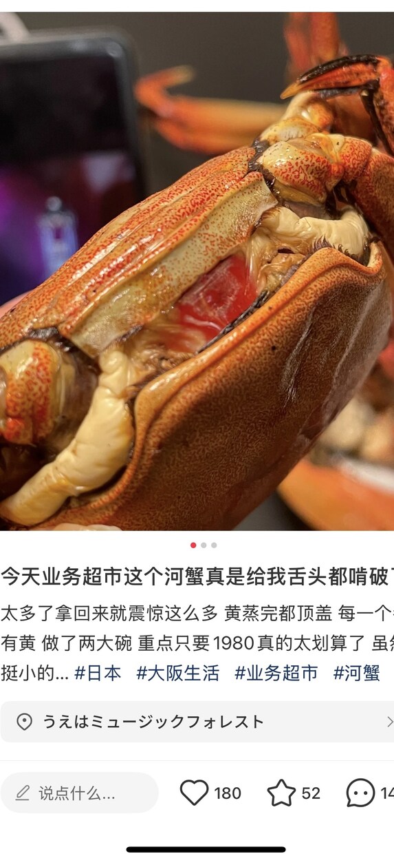 旅行・美食など中国SNSに投稿します 中国の抖音や小紅書であなたの旅行美食体験を魅力的に発信します イメージ2