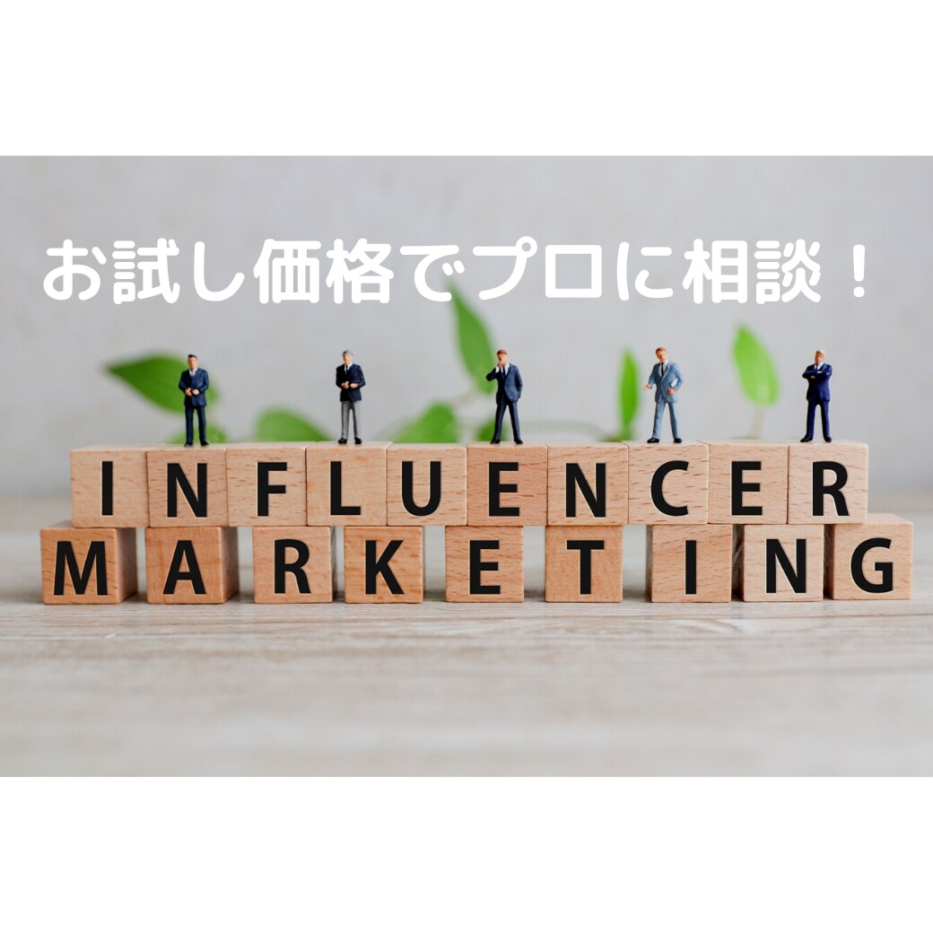 お試し価格！インスタのプロがアカウント診断致します お試し価格にてお話し伺います。 イメージ1
