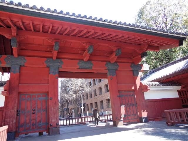 東大院生が理科の授業します 小学生、中学生の理科の質問にお答えします イメージ2
