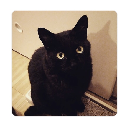 食いしん坊の菜摘が献立アイデアを提供します 「ああ今晩何作ろう〜」とか悩んだらちょっと話しましょ! イメージ4