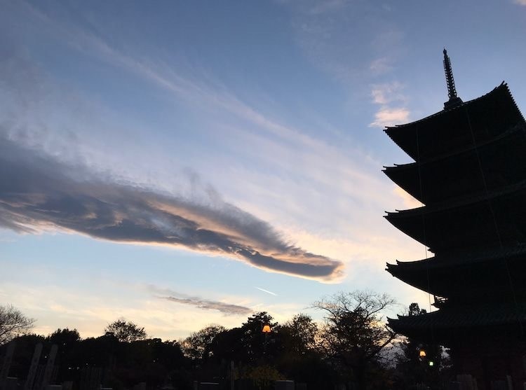 同性愛、異性愛、複雑恋愛、片思い…優しく占います 占い歴5年⭐︎そのままのあなたを優しく占います イメージ3