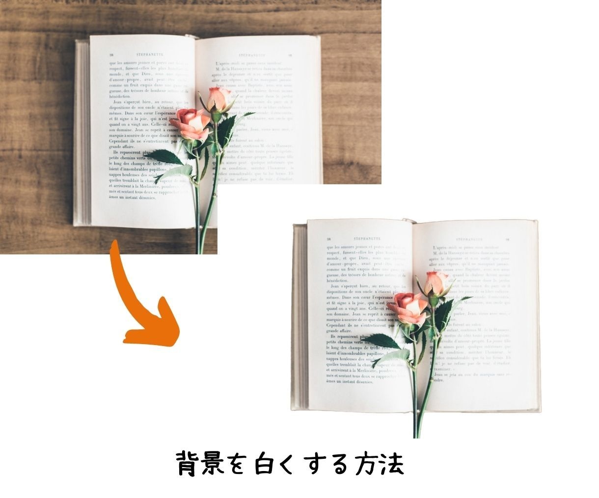 初めての方向け！Photoshopの編集講座します どんな写真も良くなるフォトショップの使い方を丁寧にご案内 イメージ2