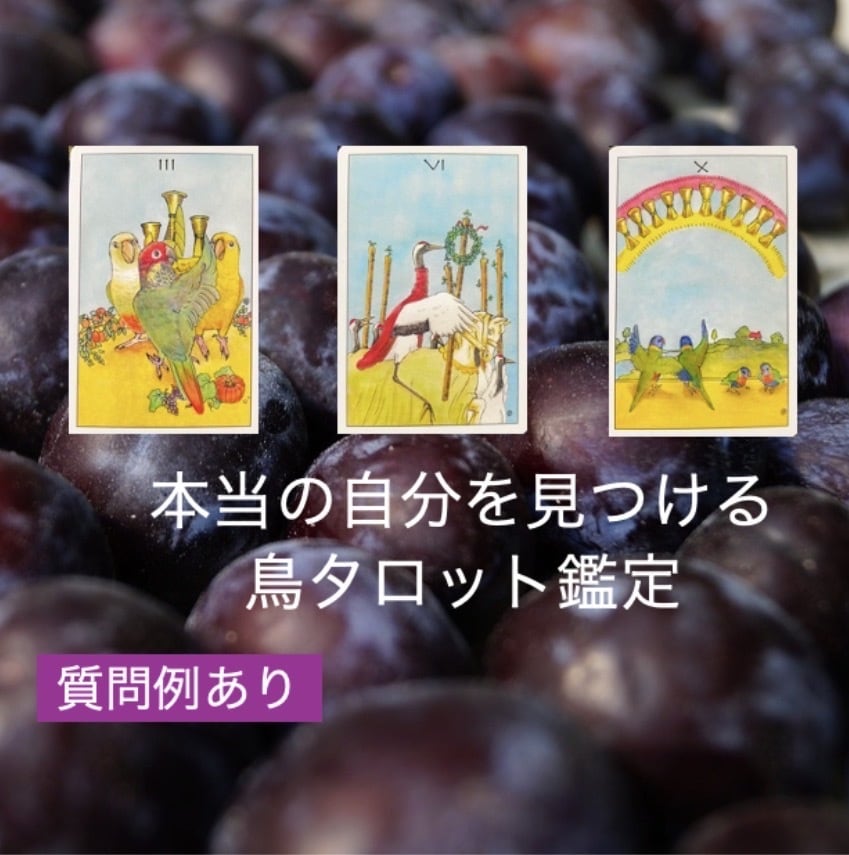 かわいい鳥タロット占い、お話だけでも歓迎します 吐き出すだけでもスッキリしますよ！ イメージ1