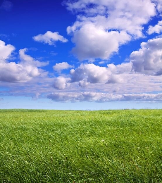 心のモヤモヤなど何でもお話や愚痴など聞きます とりあえず聞いて欲しい、わかって欲しいなど全て受け止めます。 イメージ11