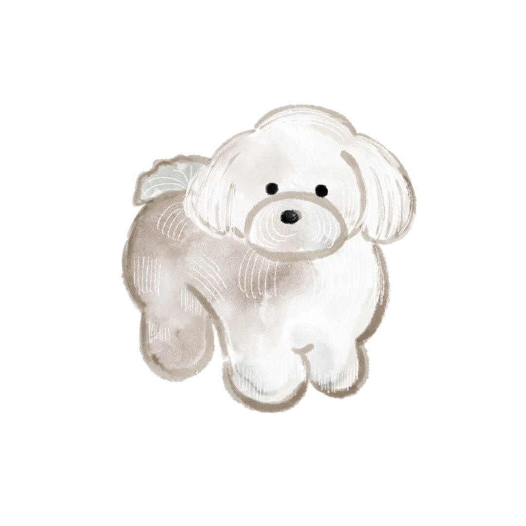 あなたのペット可愛く描きます 水彩であなたのペットちゃんの絵を描きます イメージ4