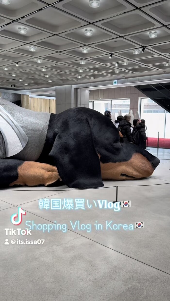 ショート動画を見やすく編集します TikTok・リール対応／テロップ・BGM込み イメージ1