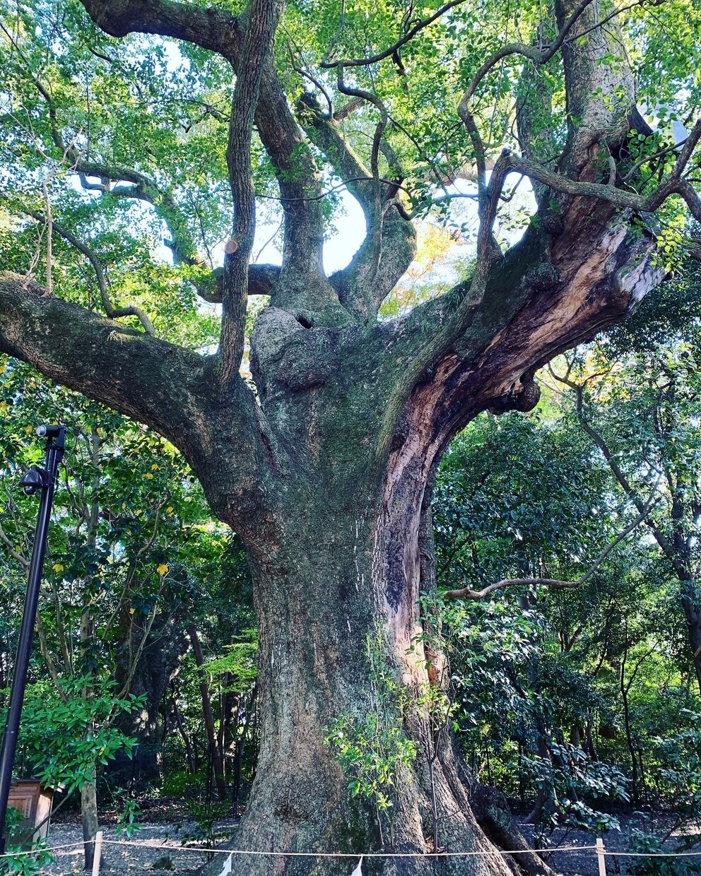 自分迷子から本当の笑顔のあなたに戻るサポートします 他人に左右されずに、自分軸であなたのまま楽に生きましょう！ イメージ1