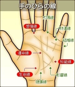 手相と数秘術からあなたの全てをみます 手相✖️数秘術でより深く追求していきます。