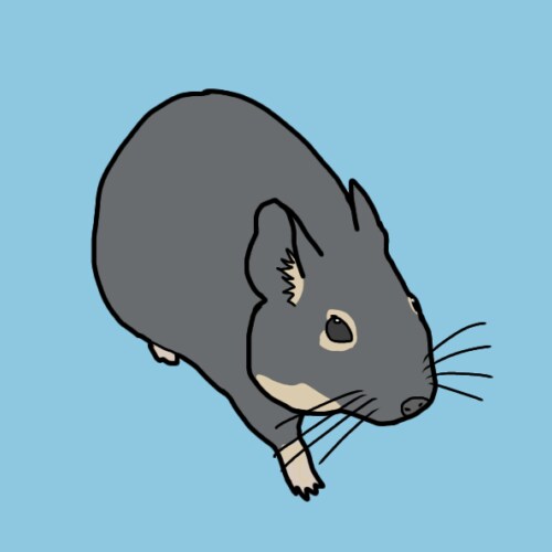 シンプルなデグーのイラストを描きます アイコン、グッズ作成に使用出来るデグーのイラスト イメージ2