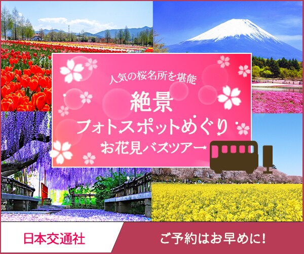 集客の為の目を惹くバナー画像作ります 修正は無制限！！何でもご相談下さい♪ イメージ4