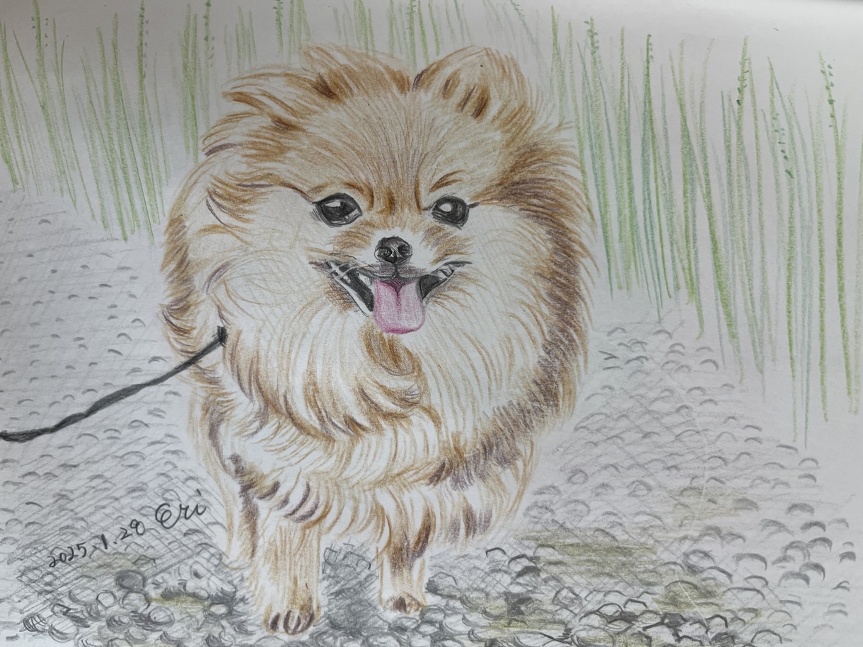 手描きで優しいペット似顔絵をお描きします 写真をもとに、やさしい雰囲気の似顔絵を描きます イメージ2