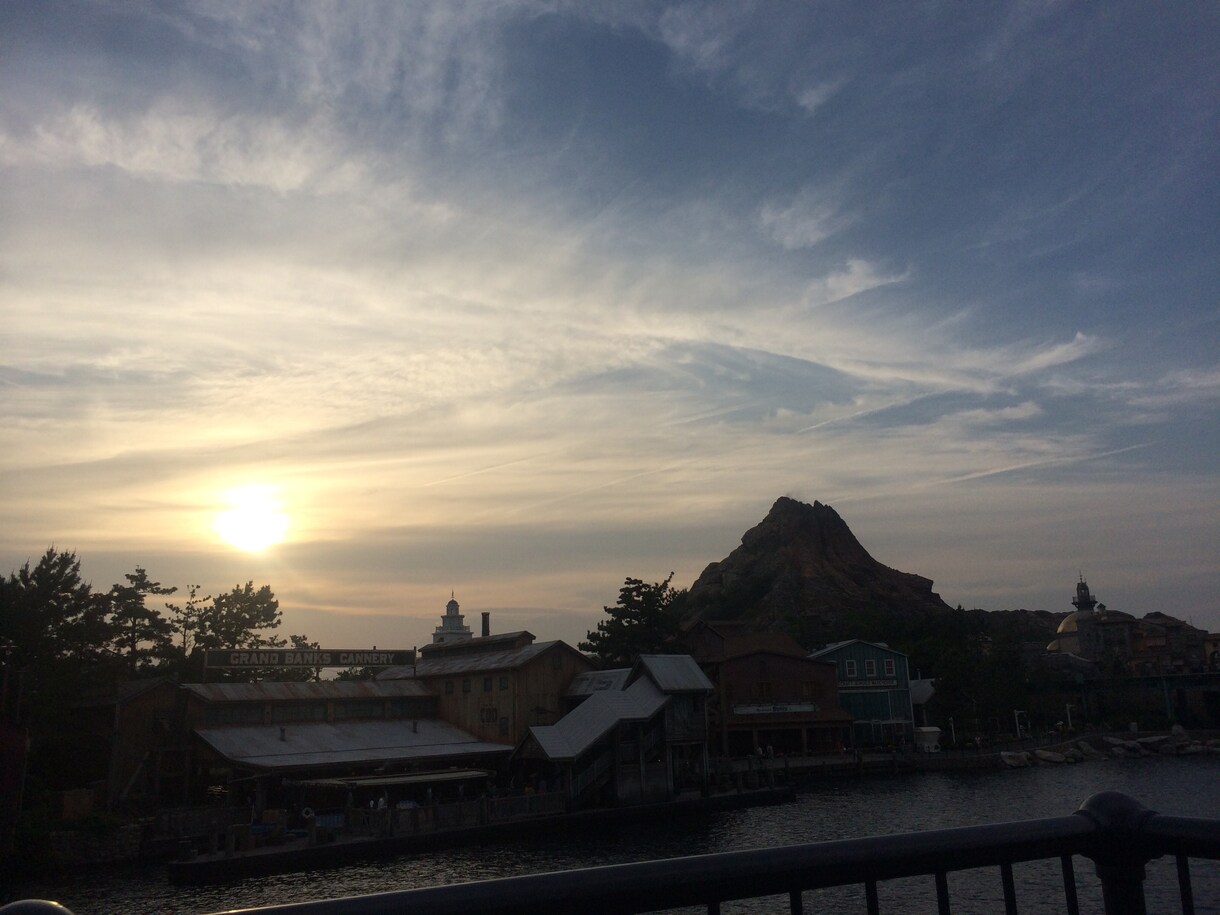 東京ディズニーリゾート(ランドまたはシー)を回る一日プランを提供します イメージ1